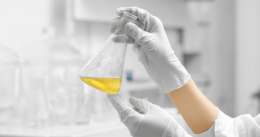 Expanding Global Footprint Practical Strategies for Chemical Companies Inspired by Shakti Chemicals