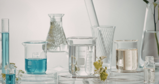 Potassium Sulphite by Shakti Chemicals A Reliable Solution for Superior Food Preservation